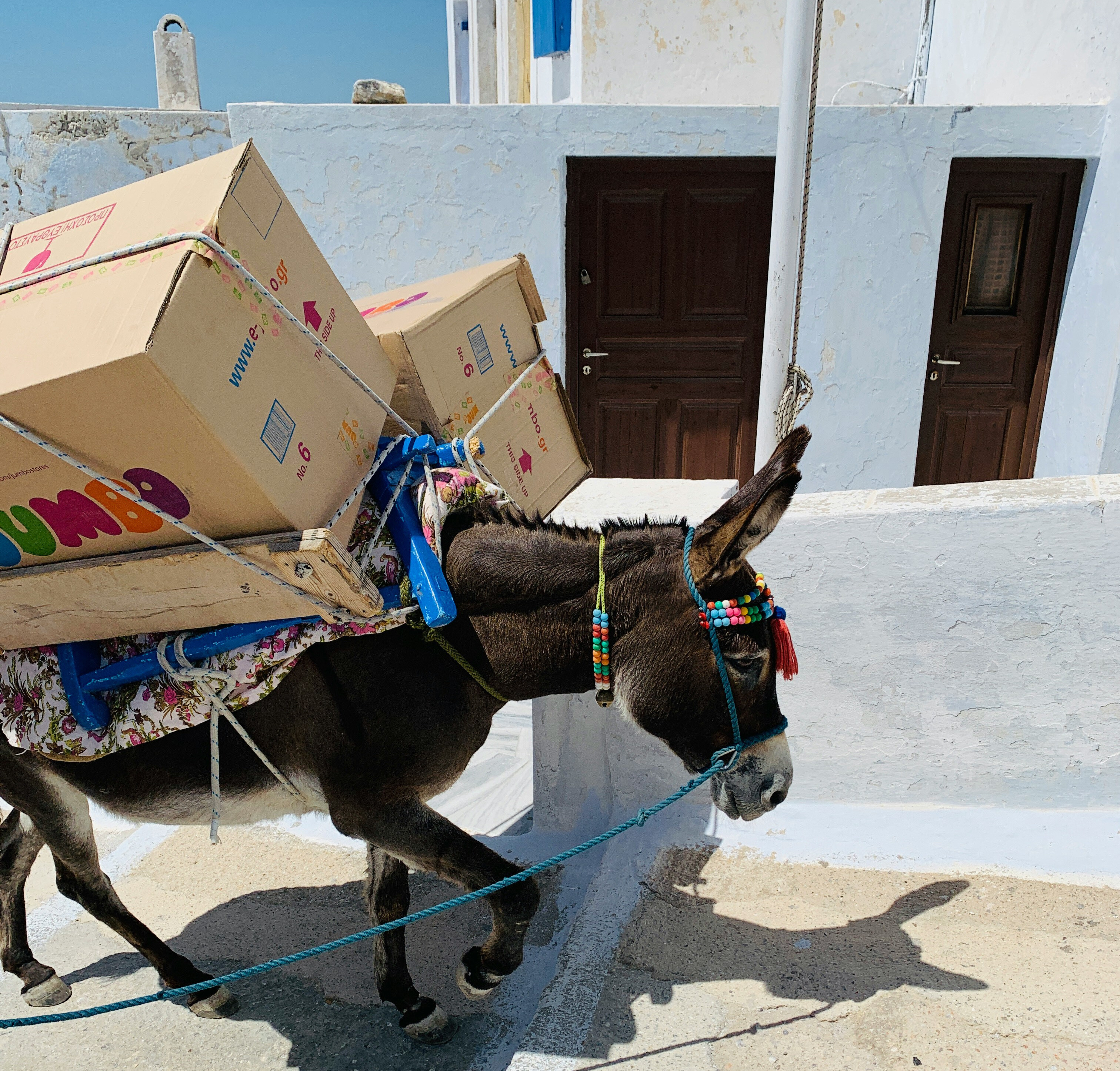 Quick Commerce and the Race for Relevance in Retail